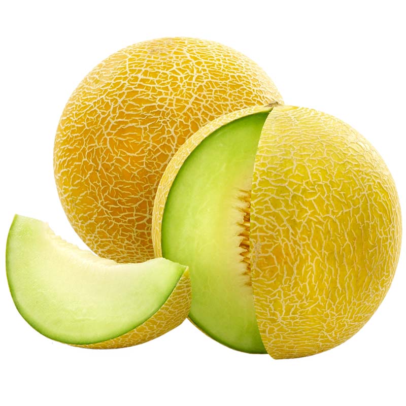 خربزه ملون 1500g تا 2500g ایران زمین - خربزه 1Kg تا 2Kg ایران زمین