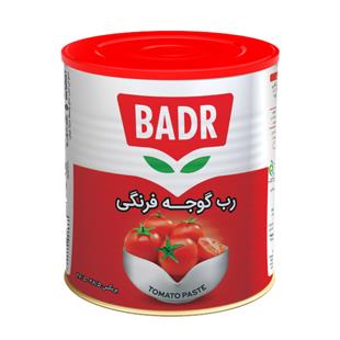 رب گوجه فرنگی (درب ایزی اپن) قوطی 800 گرمی بدر - رب گوجه فرنگی (درب ایزی اپن) قوطی 800 گرمی بدر