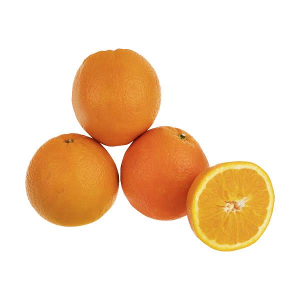 پرتقال تامسون  فسایی  درجه یک ایران زمین  - پرتقال تامسون  درجه یک ایران زمین 