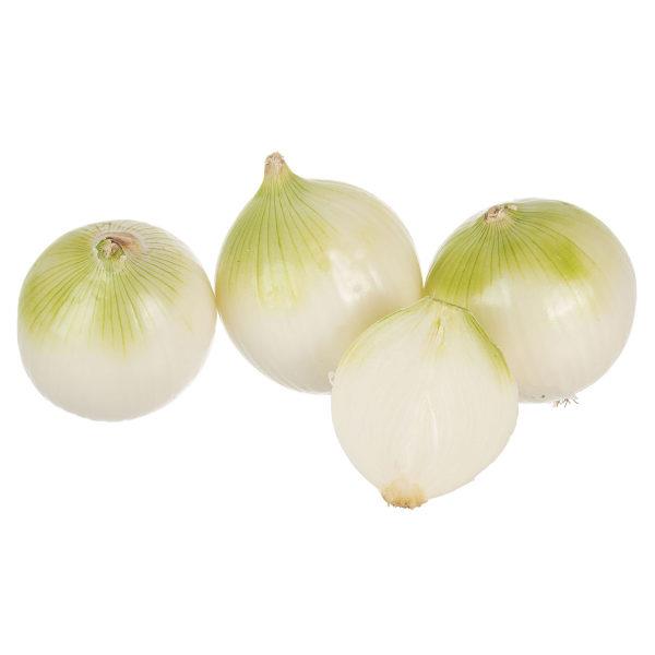 پیاز سفید 1KG ایران زمین - پیاز سفید 1KG ایران زمین