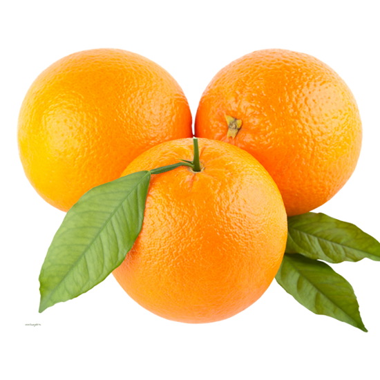 پرتقال فسائی 1Kg ایران زمین - پرتقال فسائی 1Kg ایران زمین