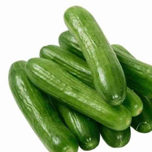 خیار باغی درجه یک 1kg ایران زمین - خیار باغی 1kg ایران زمین