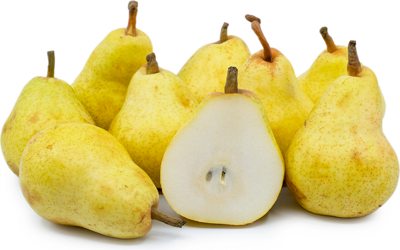 گلابی درجه یک اعلا 500g ایران زمین - گلابی درجه یک 500g ایران زمین