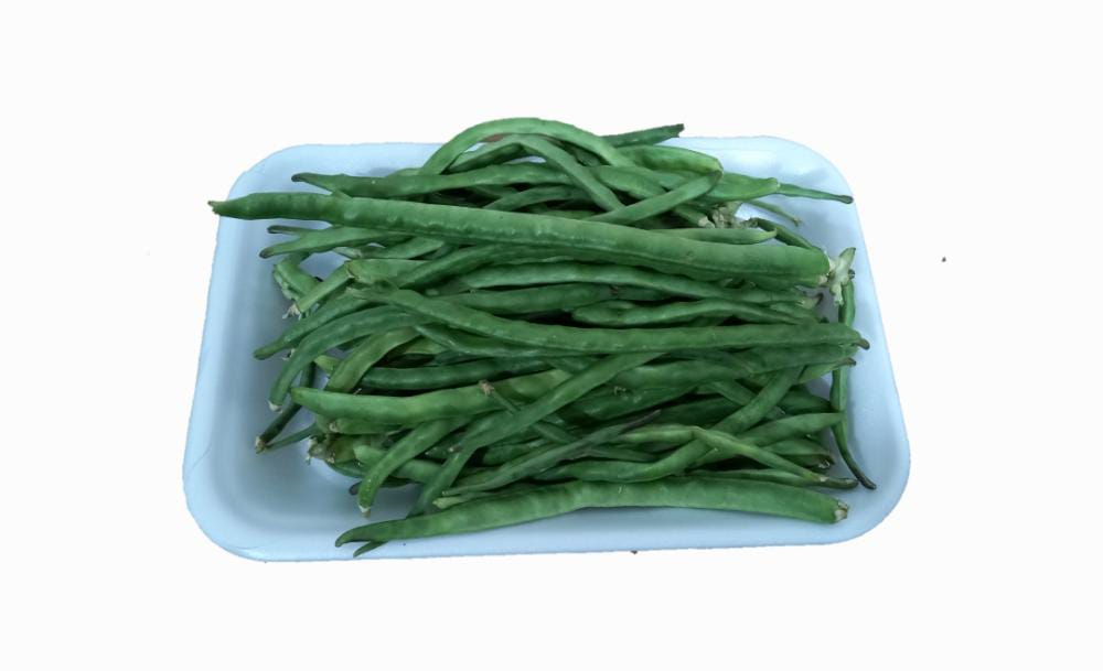 لوبیا عربی (چشم بلبلی) درجه یک 500 گرم ایران زمین - لوبیا عربی (چشم بلبلی) درجه یک 500 گرم ایران زمین